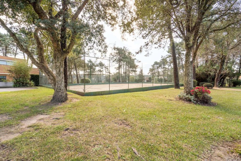 Quinta Da Barca Guest House Esposende Kültér fotó